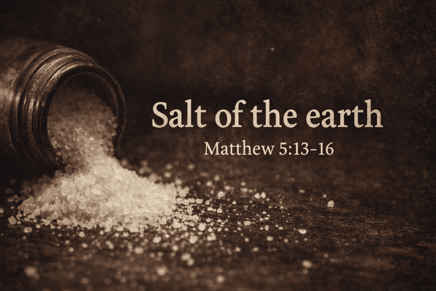 Salt and Light Banner